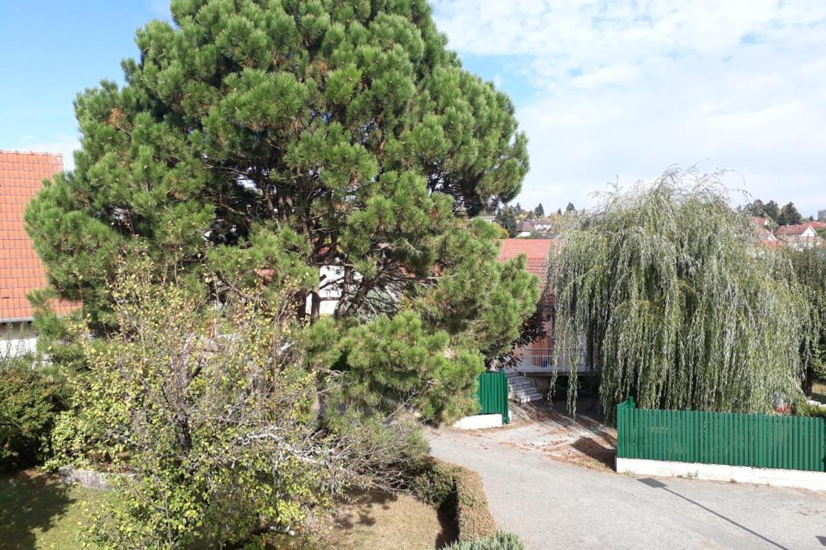 Appartement Independant A Proximite De Belfort Essert Eksteriør bilde